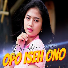 Diandra Ayu - Opo Iseh Ono (Jhandut Version).mp3